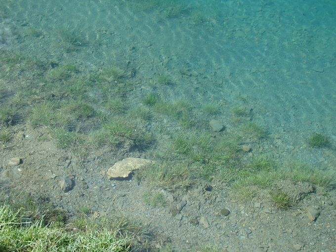 �ΔȂŎ��R���𖞋i