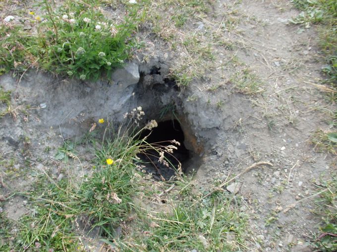 �ΔȂŎ��R���𖞋i