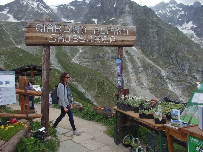 �A��͒��ԉw�́u���R�A�����v�ň�x��