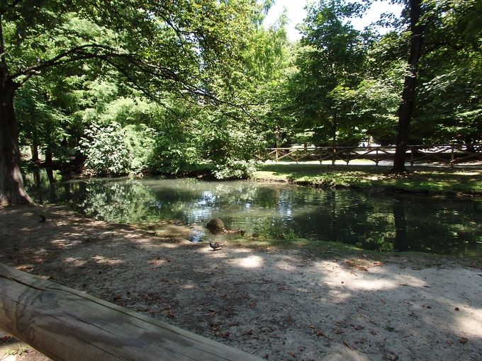 見逃せない伊 ミラノの古城 スフォルツァ城 と寛ぎ公園センピオーネ イタリア Lineトラベルjp 旅行ガイド