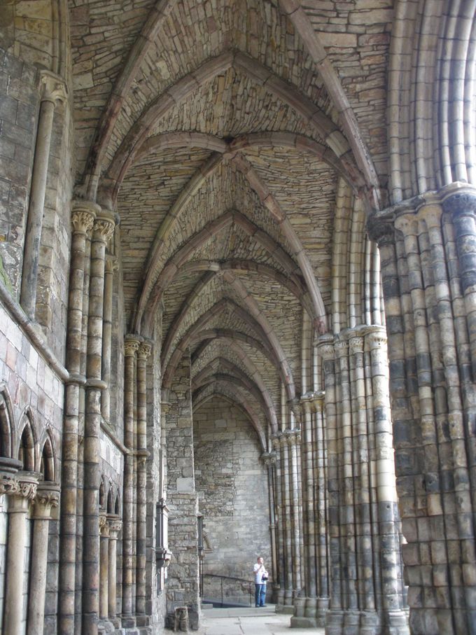 אڂz[[hAr[͔pЂ̂܂܂