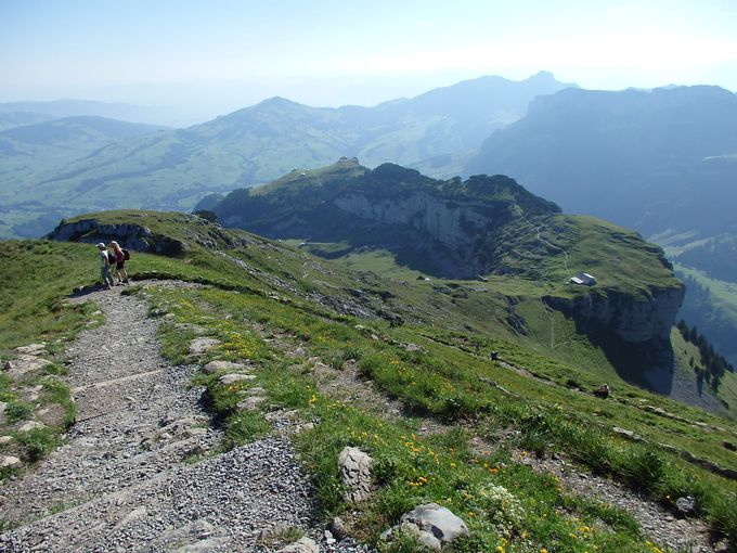 �Z���e�B�X�R�������ɒ��߂Ȃ���