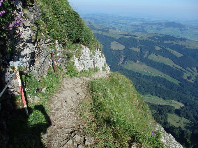 �V�F�t���[�̎R��������y�����Ɍ�����[�[�A���v�΂�