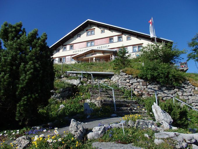 ���@�b�T�[���E�G������G�x���A���v��