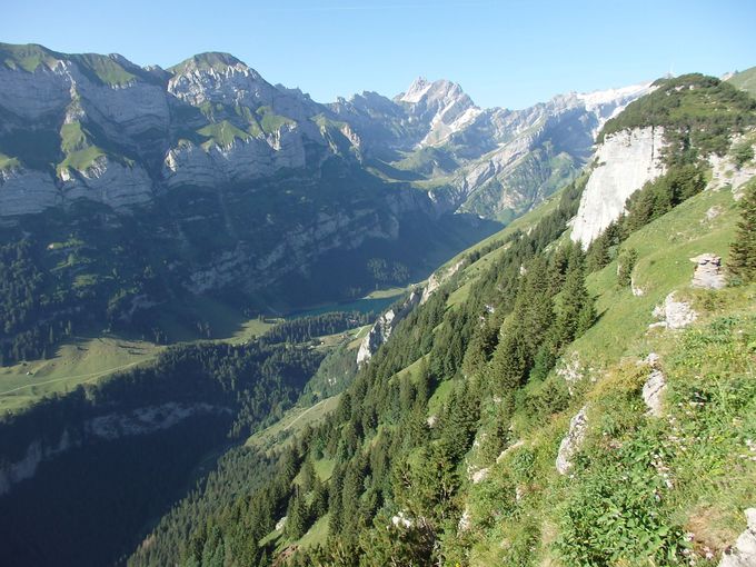 �Z���e�B�X�R�������ɒ��߂Ȃ���