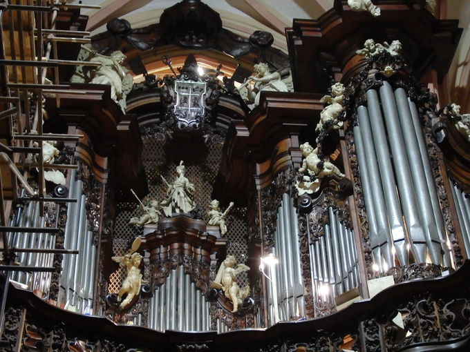 �����W�c����