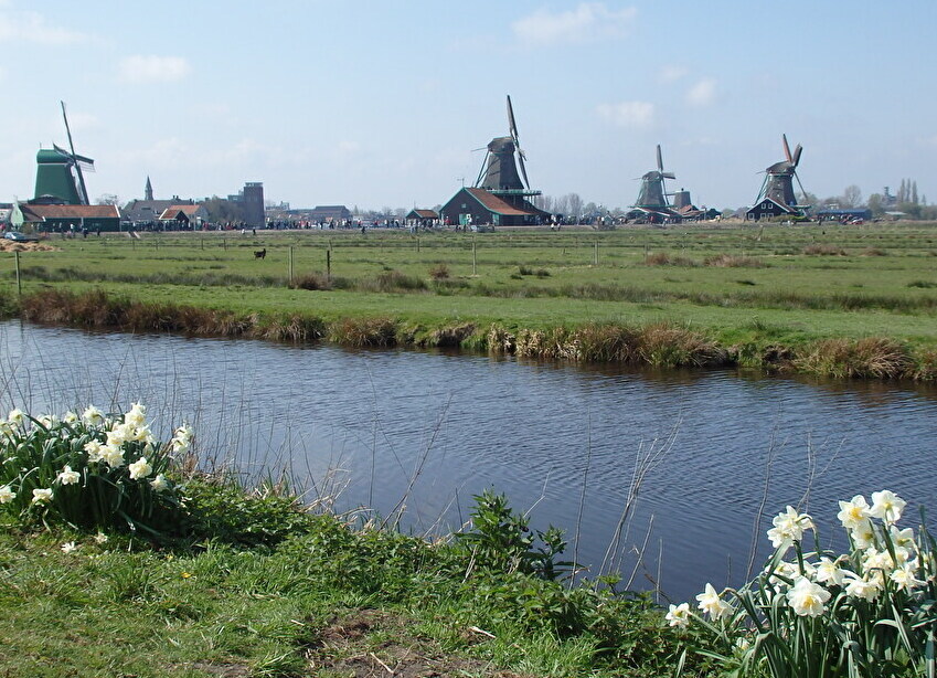 �l�C�̊ό��X�|�b�g�u�U�[���Z�E�X�J���X�v