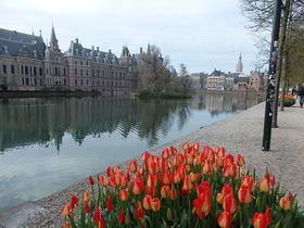 オランダ政治の中心地「デン・ハーグ」で楽しむ歴史ある街並み散策
