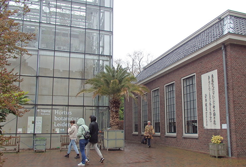 オランダ最古のライデン大学