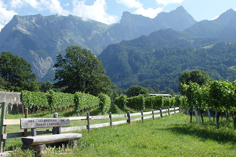 ǂՂƐZnCW̐Eu}CGtFgv