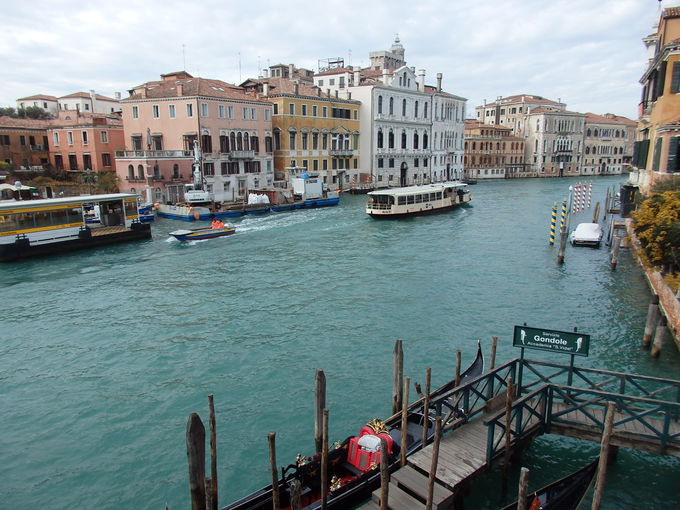 �A�h���A�C�ɕ����Ԑ��E��Y�̒��u���F�l�c�B�A�v