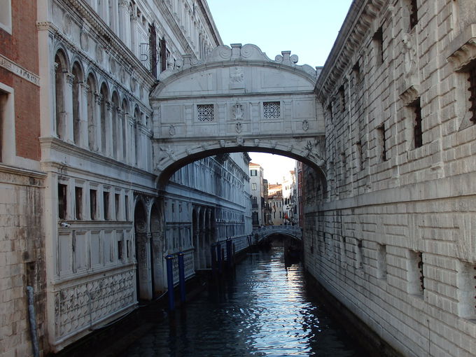 �������Ɛ�ɑ����S��