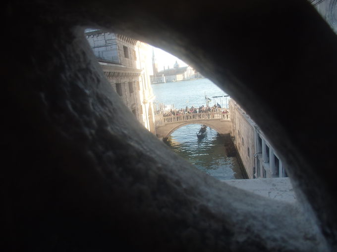 �������Ɛ�ɑ����S��