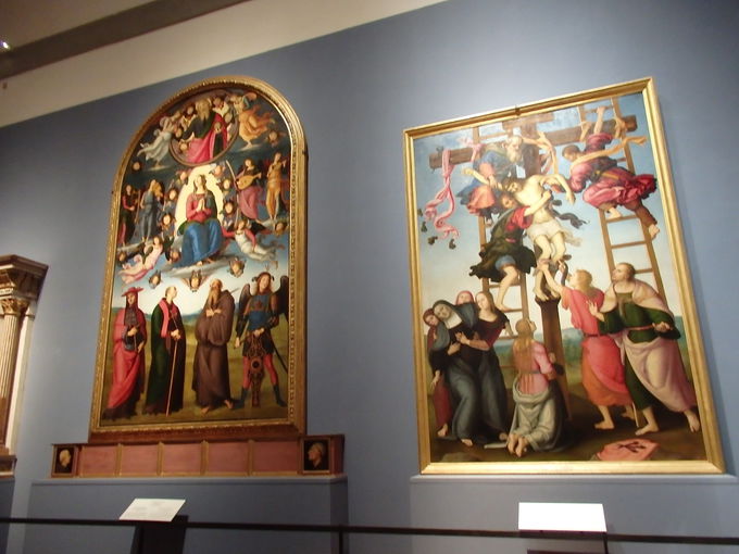 �A�J�f�~�A���p�ق̓R���b�\�̑�L�Ԃ��猩�w�J�n