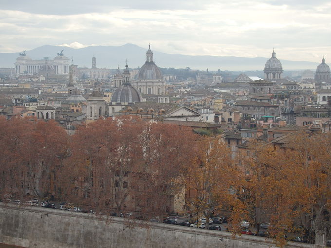 �Ñ��ՁE�l�C�ό��X�|�b�g�����W�I���E��Y�̒��u���[�}�v