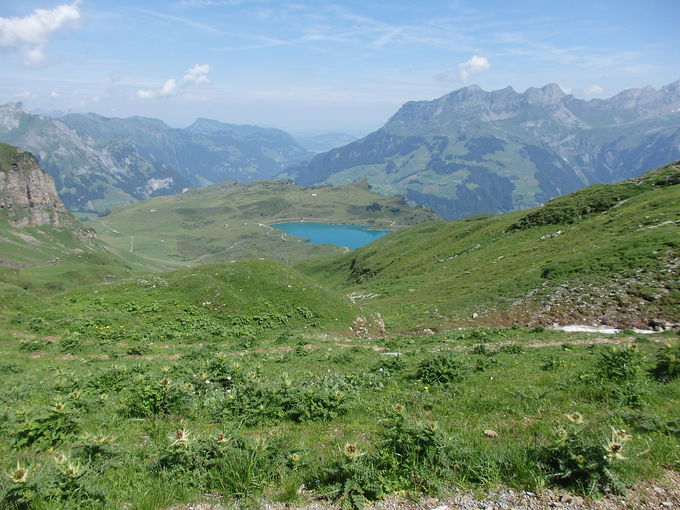 ���b�z�p�X����y���ރ_�C�i�~�b�N�ȑ厩�R