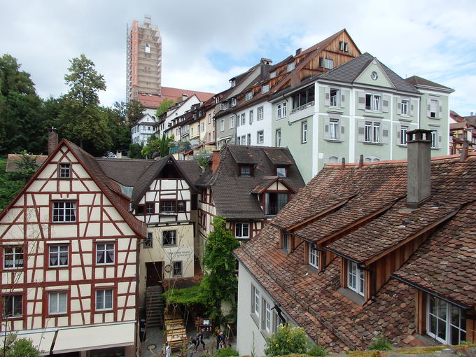 �{�[�f���ΔȂ̒��u���[�A�X�u���N�v