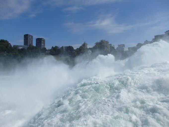 �������}�����I�g���Ԃ��𗁂т�e���X��