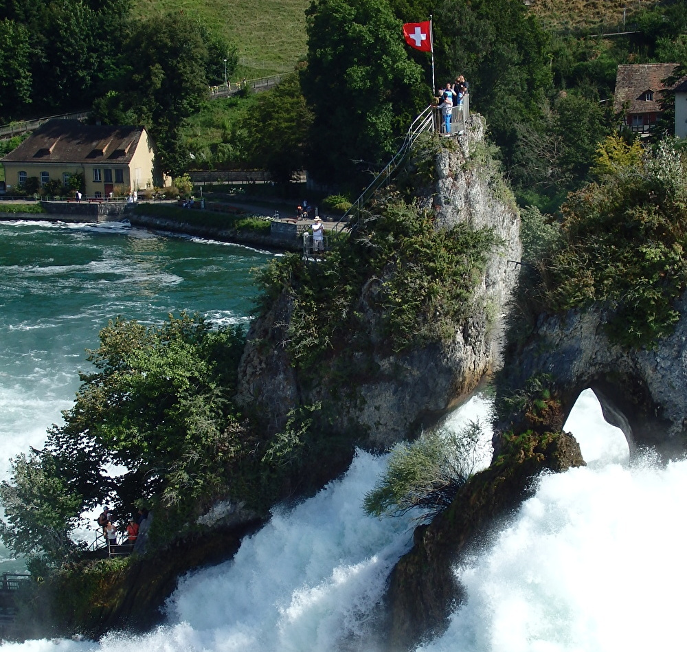 �������}�����I�g���Ԃ��𗁂т�e���X��