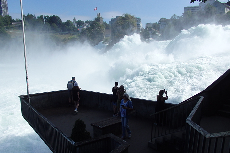 �������}�����I�g���Ԃ��𗁂т�e���X��