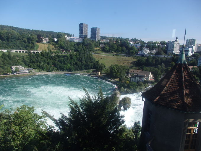 ���E�t�F��������w