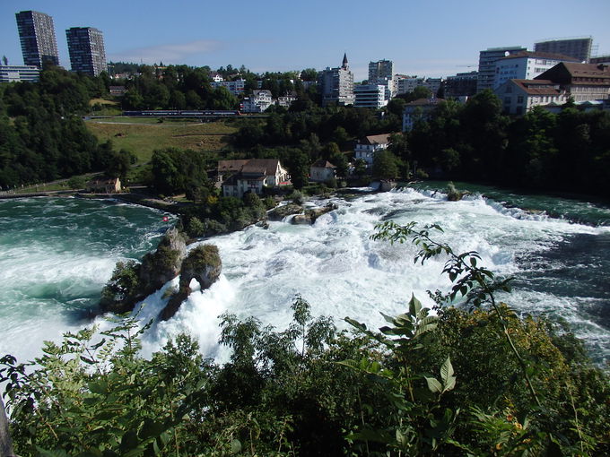 �V�����r���̌����炵�䂩��̒���