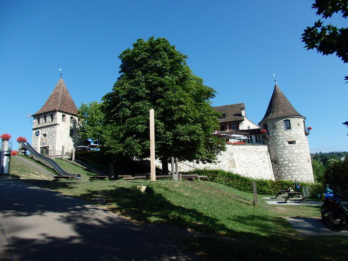 ���C���쉈����