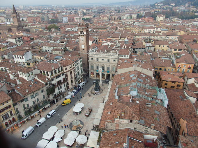 ���F���[�i1�������̏��