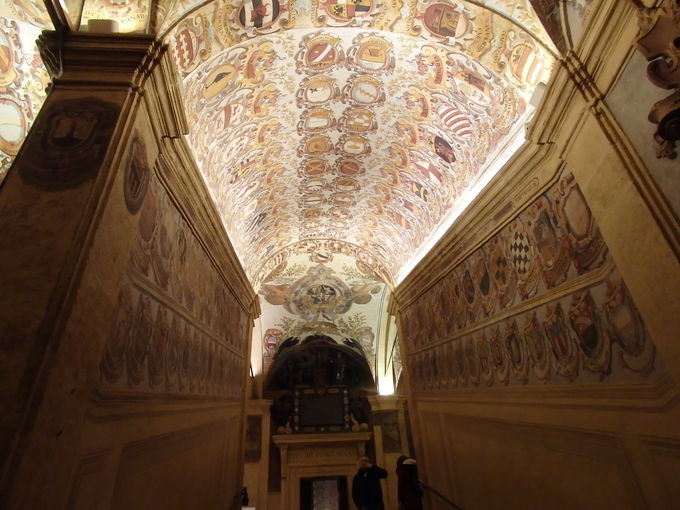 �������̂̔���������