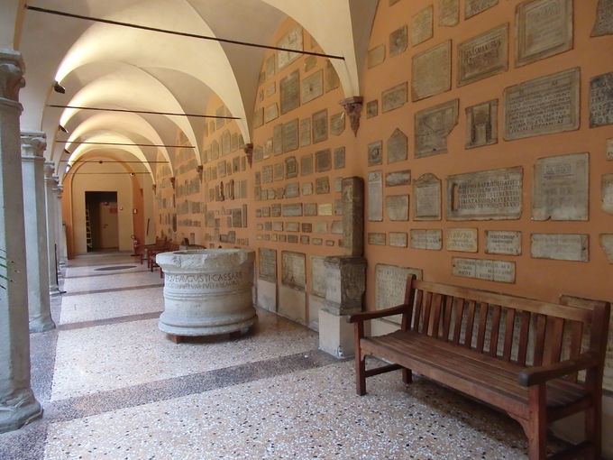 ���a�@�����������{�a�ɓ���u�{���[�j���s���l�Êw�����فv