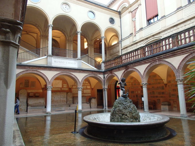 ���a�@�����������{�a�ɓ���u�{���[�j���s���l�Êw�����فv