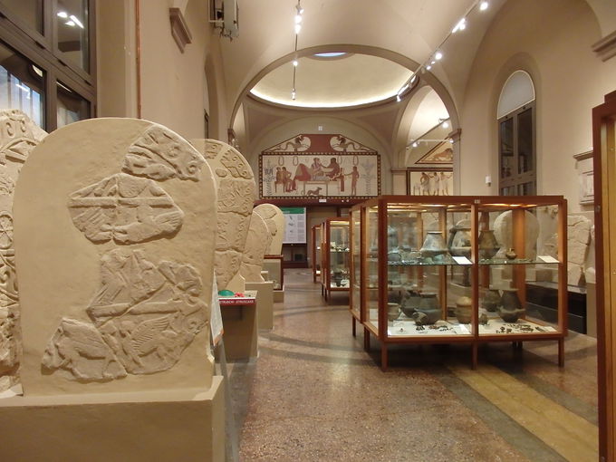 �Ñ�M���V�A����̎����i�u�s���l�Êw�����فv