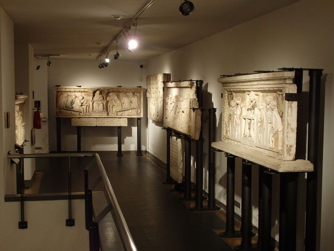 ��w�̒����ے�����w�҂����̕��