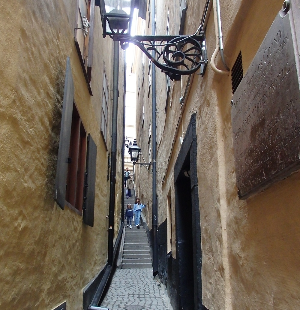 �����̏����Ȑl�C�X�|�b�g��