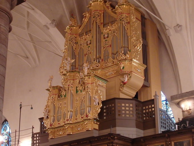 �S�[�W���X�ȓ����u�h�C�c����v