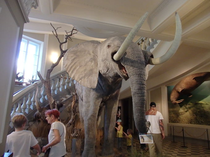 ���R�j������