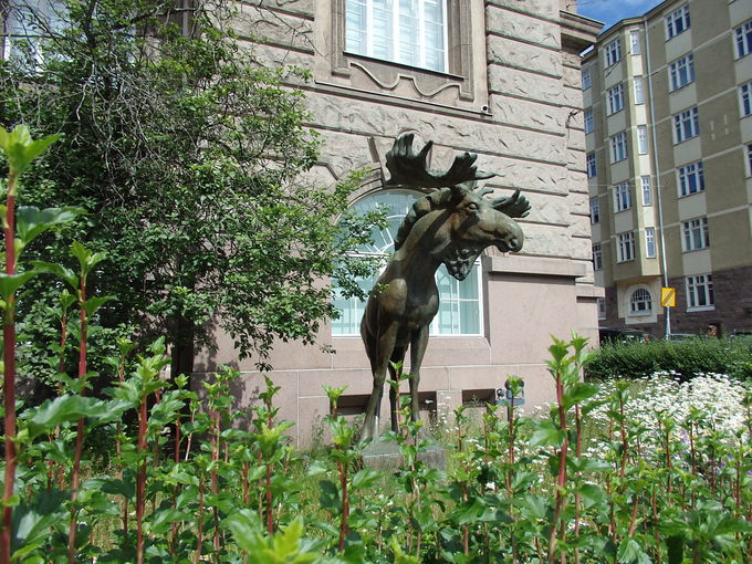 ���R�j������