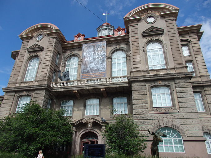 ���R�j������