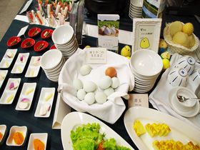 東北で収穫された新鮮野菜朝食が評判！東京都「ホテルコンチネンタル府中」