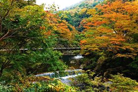 �����̊i���l�C���򗷊ك`�F�[���g��̓��O���[�v�h�̃z�e���Łu���m�� �L���g���Z�]���v�̋L���T���l�C��