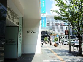 wʂ̍DnuJRBzeubTv͒ڂ̃nCNXrWlXze̋LTlC