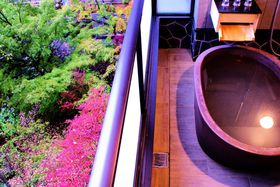 W1130[g̃][guzey1130v̋LTlC