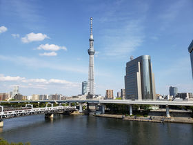 󑐂̒SŊόiIW]嗁 Г h[~[CEglobal cabin󑐂̋LTlC