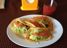 ����No.1�^�R�X��j����I40�N�����u���L�V�R�v�͂������̓X�̋L���T���l�C��