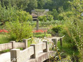 򕌁E{aɍsďa30NɃ^CXbvI̋LTlC