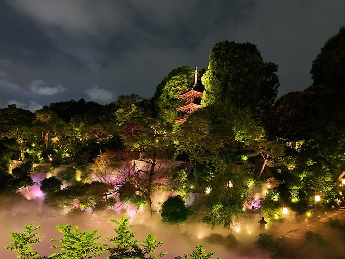 心に響く 霧に包まれるホテル椿山荘東京 東京雲海 東京都 Lineトラベルjp 旅行ガイド