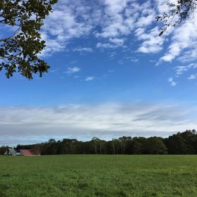 ���H�E�ߋ����̃A�E�g�h�A�h�K���̏h�u�q�b�R���[�E�B���h�v�̋L���T���l�C��