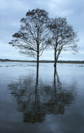 ṽAEghAKChƍskCEHJk[͍ō̋LTlC