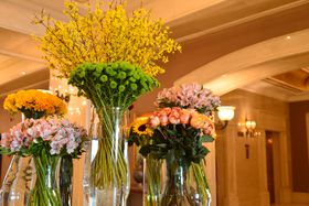 ��s��ŏ㎿�̂��났�u�U�E���b�c�E�J�[���g�� �C�X�^���u�[���v���̂����ĂȂ��̐[���ɔ���I�̋L���T���l�C��