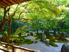 美しさに思わずため息！太宰府の苔寺「光明禅寺」で楽しむ“床みどり”と“床もみじ”